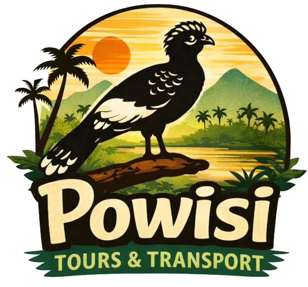 Powisi Tours & Transport